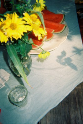 Lecker Lecker – Therese Witt